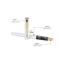 Bút máy Parker Vector XL Pearl Fountain Pen