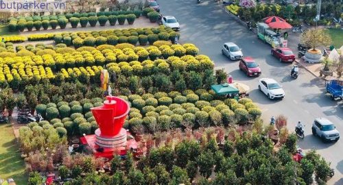 Viết đoạn văn ngắn tả mùa xuân lớp 2, 3, 4 và 5